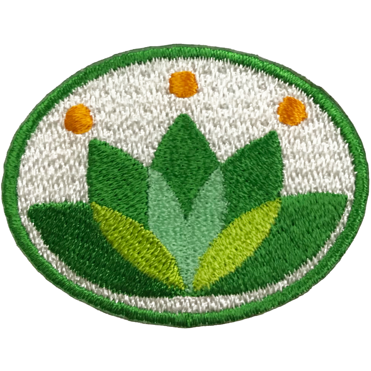 「エコリーフシンボル」オリジナルワッペン制作事例